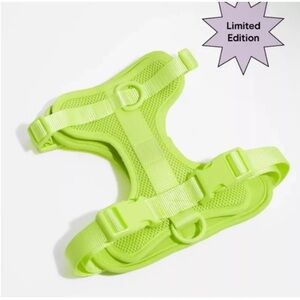 Wild One Small Dog Harness